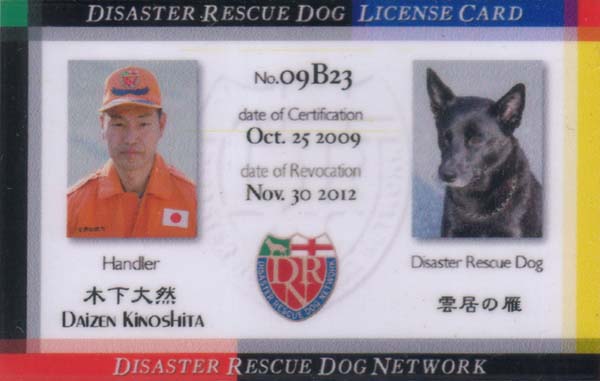 DISASTER RESCUE DOG LICENSE CARDi\j
No.09B23
date of Certification Oct. 25 2009
date of Revocation Nov. 30 2012
Handler ؉ R Daizen Kinoshita
Disaster Rescue Dog _̊
Disaster Rescue Dog Network