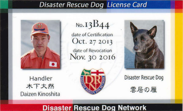 DISASTER RESCUE DOG LICENSE CARDi\j
No.13B44
date of Certification Oct. 27 2013
date of Revocation Nov. 30 2016
Handler ؉ R Daizen Kinoshita
Disaster Rescue Dog _̊
Disaster Rescue Dog Network