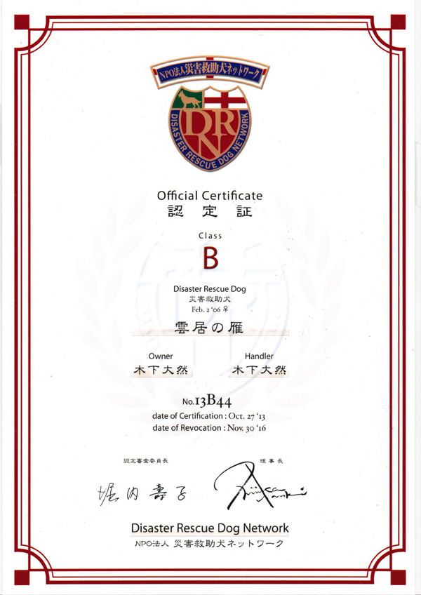Official Certificate F
Class B
Disaster Rescue Dog ЊQ~
Feb. 2 '06  _̊
Owner ؉ R
Handler ؉ R
No.13B44
date of Certification:Oct. 27 '13
date of Revocation:Nov. 30 '16
FRψ x q
 Nishizaka Naoki
Disaster Rescue Dog Network
NPO@lЊQ~lbg[N