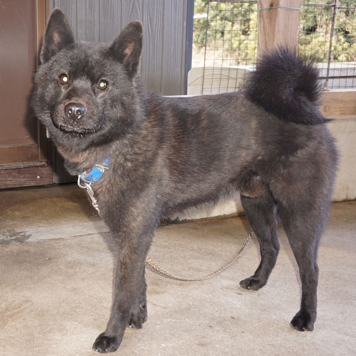 ������T�F��