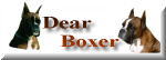 Dear Boxer